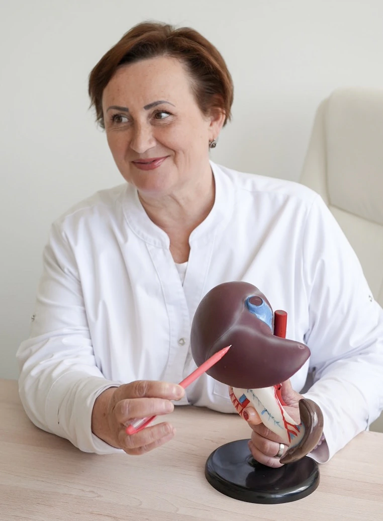 Надія Наумович пояснює на анатомічній моделі печінки